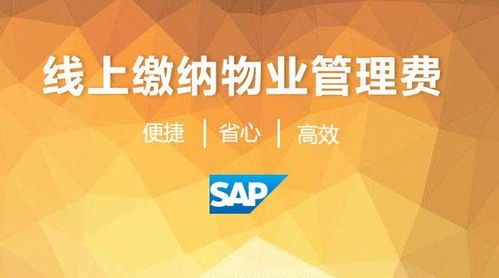 一枚基于sap研創的物業合同收費系統2017年在深圳茂業集團落地